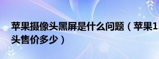 苹果摄像头黑屏是什么问题（苹果13三摄像头售价多少）