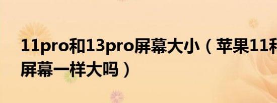 11pro和13pro屏幕大小（苹果11和13pro屏幕一样大吗）