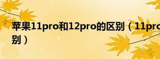 苹果11pro和12pro的区别（11pro和13区别）