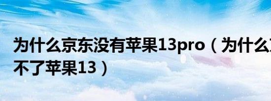 为什么京东没有苹果13pro（为什么京东还买不了苹果13）