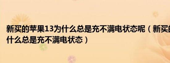 新买的苹果13为什么总是充不满电状态呢（新买的苹果13为什么总是充不满电状态）