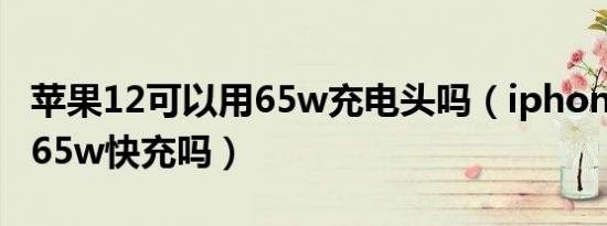 苹果12可以用65w充电头吗（iphone12能用65w快充吗）