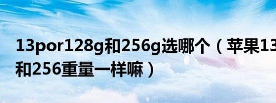 13por128g和256g选哪个（苹果13por128和256重量一样嘛）