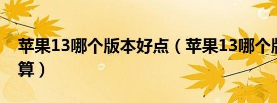 苹果13哪个版本好点（苹果13哪个版本最划算）