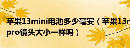 苹果13mini电池多少毫安（苹果13mini和13pro镜头大小一样吗）