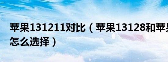 苹果131211对比（苹果13128和苹果12256怎么选择）