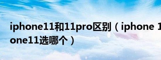 iphone11和11pro区别（iphone 12 和iphone11选哪个）