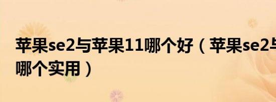 苹果se2与苹果11哪个好（苹果se2与苹果11哪个实用）