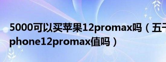 5000可以买苹果12promax吗（五千收一个iphone12promax值吗）