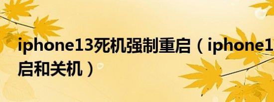 iphone13死机强制重启（iphone13怎么重启和关机）