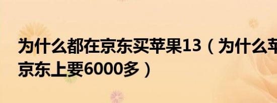 为什么都在京东买苹果13（为什么苹果13在京东上要6000多）