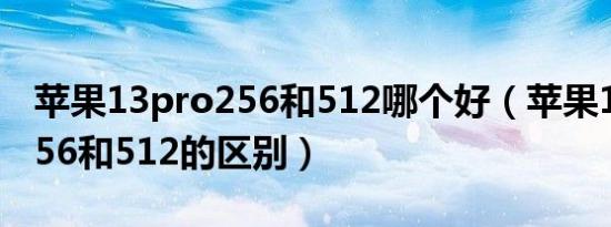 苹果13pro256和512哪个好（苹果13 pro 256和512的区别）