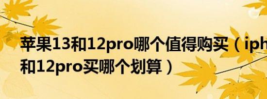 苹果13和12pro哪个值得购买（iphone 13和12pro买哪个划算）