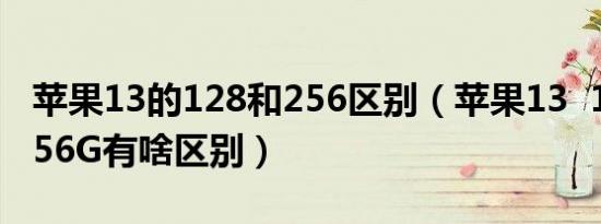 苹果13的128和256区别（苹果13  128G和256G有啥区别）