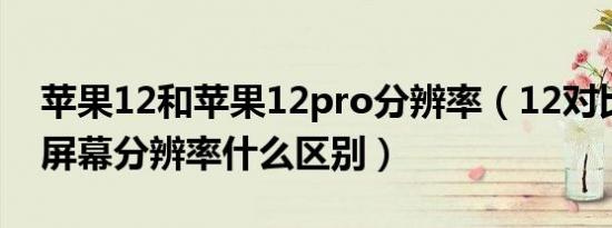 苹果12和苹果12pro分辨率（12对比12pro屏幕分辨率什么区别）