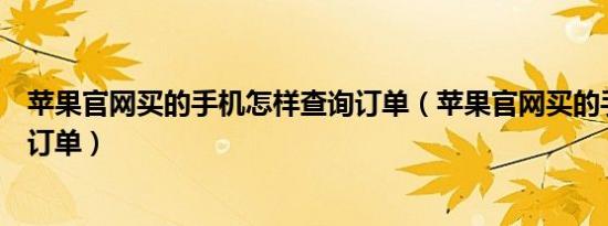 苹果官网买的手机怎样查询订单（苹果官网买的手机怎么查订单）