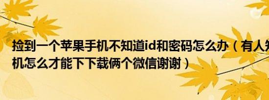 捡到一个苹果手机不知道id和密码怎么办（有人知道苹果手机怎么才能下下载俩个微信谢谢）