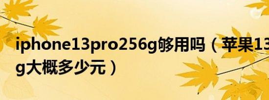 iphone13pro256g够用吗（苹果13pro256g大概多少元）