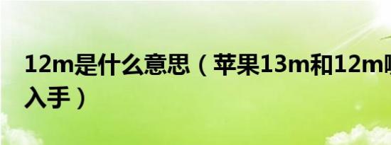 12m是什么意思（苹果13m和12m哪个值得入手）