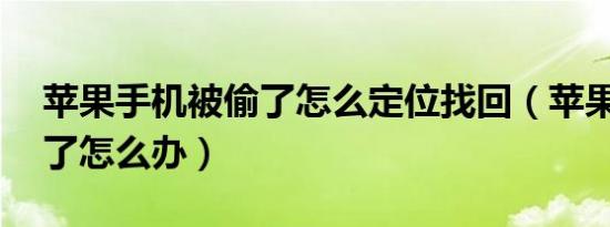 苹果手机被偷了怎么定位找回（苹果12被偷了怎么办）