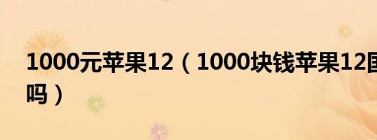 1000元苹果12（1000块钱苹果12国行机贵吗）