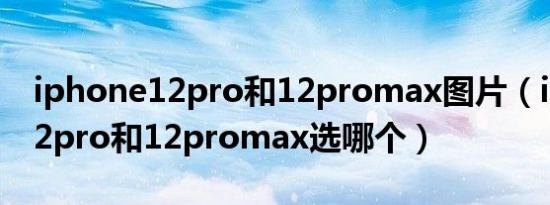 iphone12pro和12promax图片（iphone12pro和12promax选哪个）