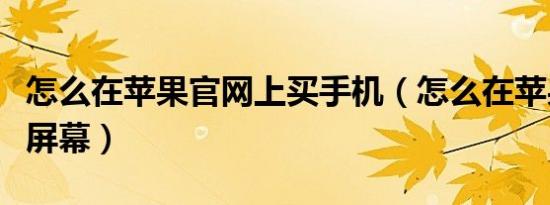 怎么在苹果官网上买手机（怎么在苹果官网买屏幕）