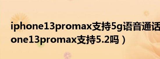 iphone13promax支持5g语音通话吗（iphone13promax支持5.2吗）