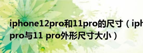 iphone12pro和11pro的尺寸（iphone12 pro与11 pro外形尺寸大小）