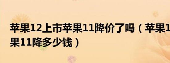 苹果12上市苹果11降价了吗（苹果12上市苹果11降多少钱）