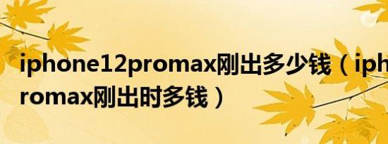 iphone12promax刚出多少钱（iphone12promax刚出时多钱）