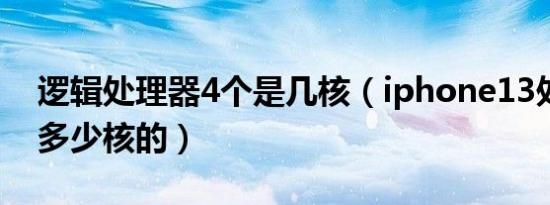 逻辑处理器4个是几核（iphone13处理器是多少核的）