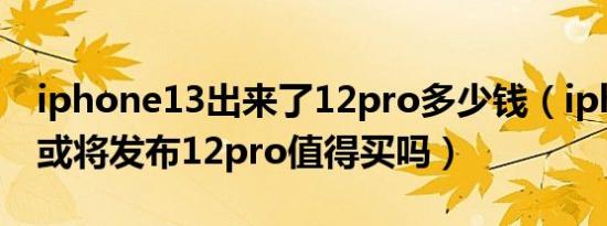 iphone13出来了12pro多少钱（iphone 13或将发布12pro值得买吗）