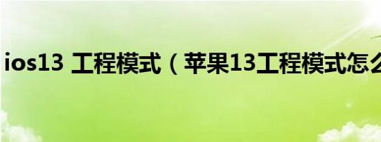 ios13 工程模式（苹果13工程模式怎么设置）