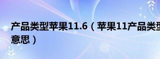 产品类型苹果11.6（苹果11产品类型是什么意思）