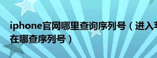 iphone官网哪里查询序列号（进入苹果官网在哪查序列号）