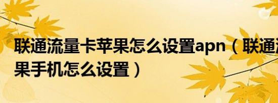 联通流量卡苹果怎么设置apn（联通流量卡苹果手机怎么设置）