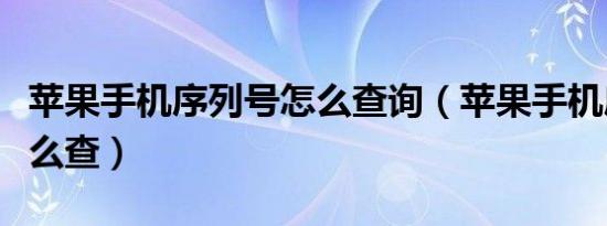 苹果手机序列号怎么查询（苹果手机序列号怎么查）