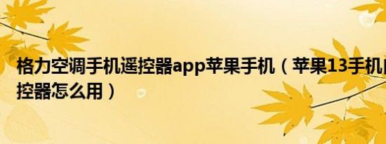 格力空调手机遥控器app苹果手机（苹果13手机自带电视遥控器怎么用）