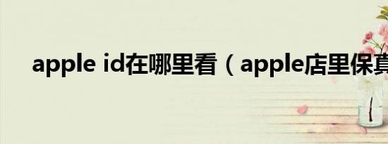 apple id在哪里看（apple店里保真吗）