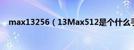 max13256（13Max512是个什么手机）