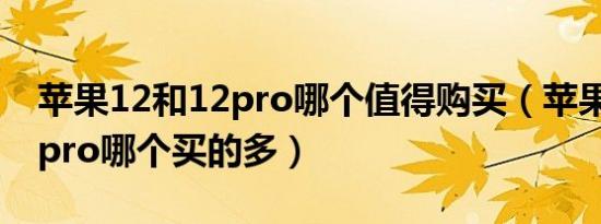 苹果12和12pro哪个值得购买（苹果12和12pro哪个买的多）