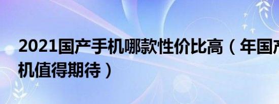 2021国产手机哪款性价比高（年国产哪款手机值得期待）