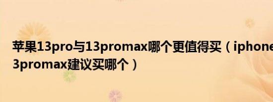 苹果13pro与13promax哪个更值得买（iphone13pro与13promax建议买哪个）