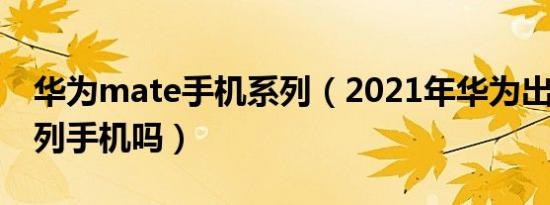 华为mate手机系列（2021年华为出mate系列手机吗）