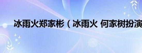 冰雨火郑家彬（冰雨火 何家树扮演者）