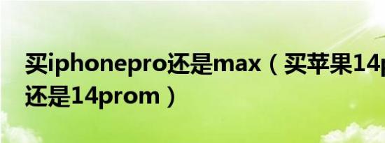 买iphonepro还是max（买苹果14promax还是14prom）