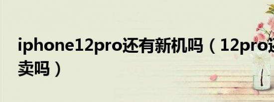 iphone12pro还有新机吗（12pro还有新机卖吗）