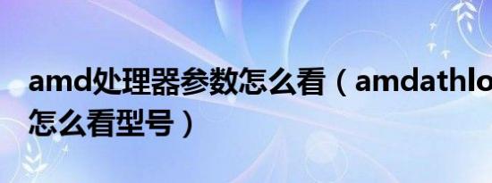 amd处理器参数怎么看（amdathlon处理器怎么看型号）