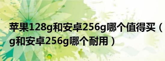 苹果128g和安卓256g哪个值得买（苹果128g和安卓256g哪个耐用）